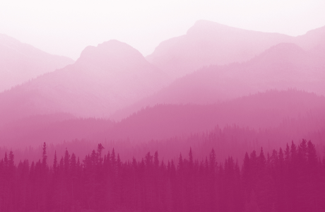 scenic misty mountain tops above vast forest