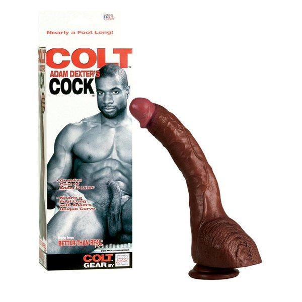 Colt Adam Dexter's Cock - Dildos