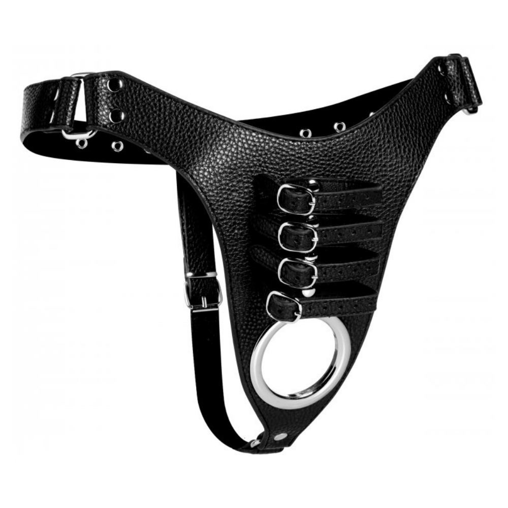 Image of the chastity harness.