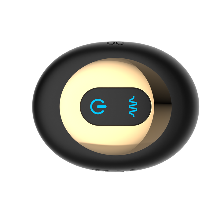 rotating anal plug base with controls