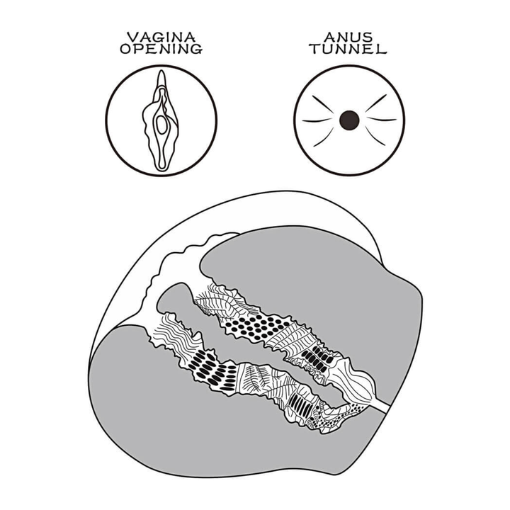 drawing of LoveToy male masturbator realistic sex doll thrust piece Streetgirl's 13 interior 