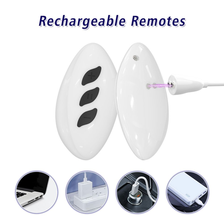 rechargeable remote from The Symphony of Lust, Heated Thrusting and Vibrating Dildo and Clit Licker