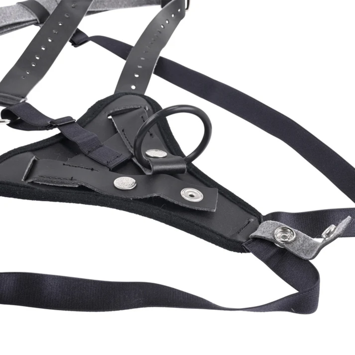 close up of o-ring from Aurora High Waisted Strap-On Harness By Sportsheets 