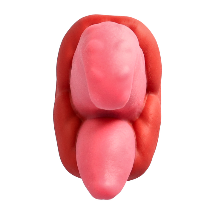 view from tip of tongues straight on shot Thrusting, vibration dildo with remote control  
