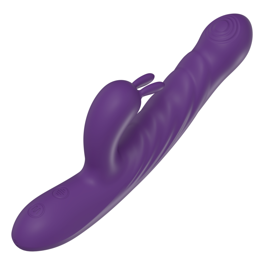 view of control buttons from purple thrusting rabbit 