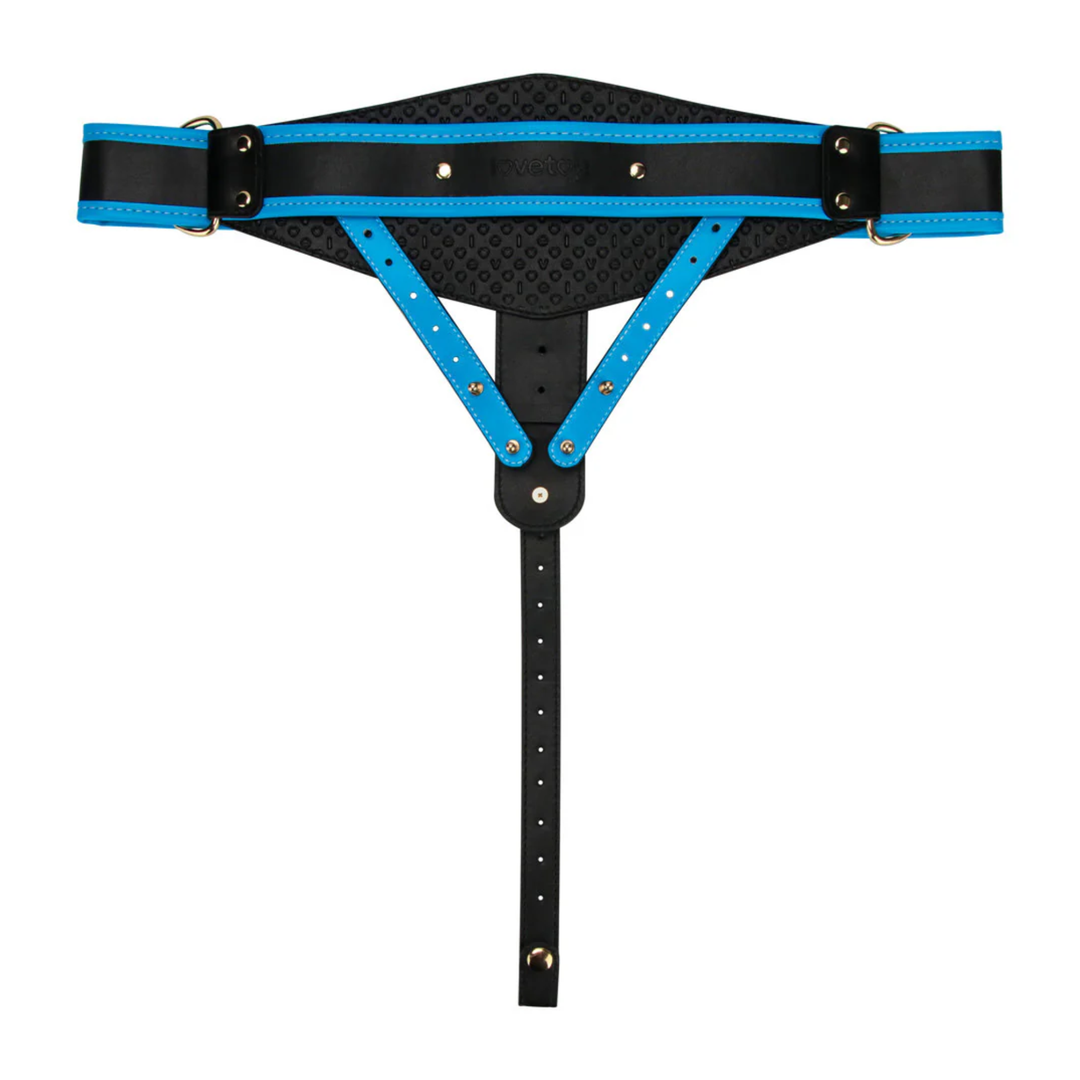 backside of harness from INGEN 10 inch Enhanced Hollow Strap-on Set  