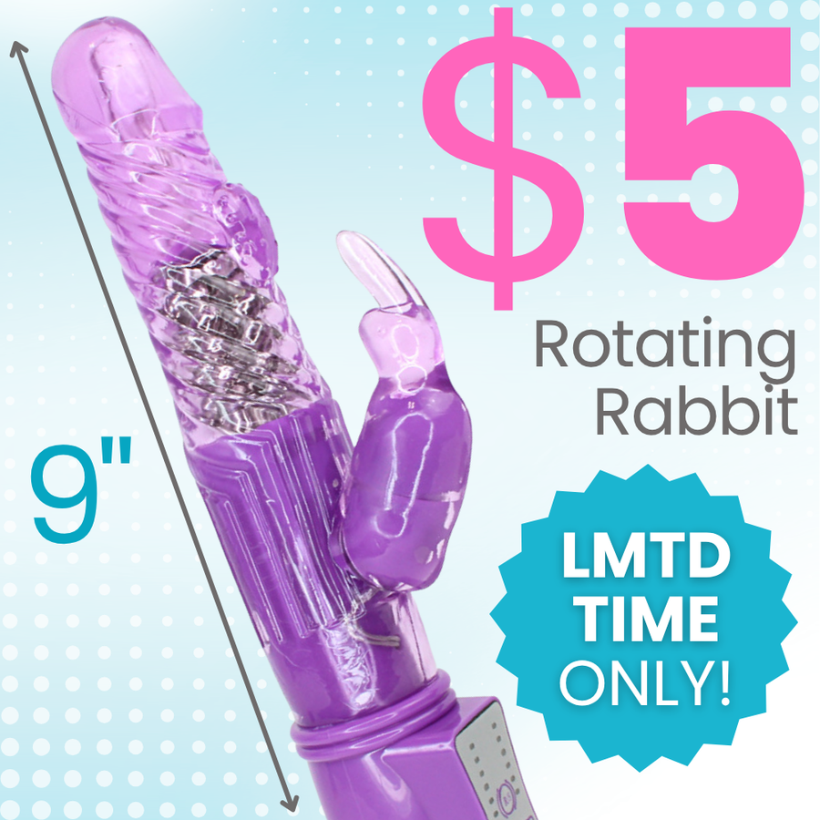 A purple transparent rabbit-shaped vibrator with a rotating internal shaft and a small clear clitoral stimulator, shown on a light blue background with large pink '$5' text and a blue badge reading 'LMTD TIME ONLY!'.