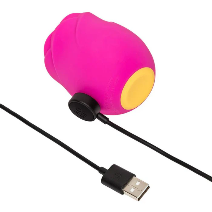 USB Rechargeable Romp Rose 2.0 Rechargeable Silicone Air Clitoral Stimulator power cord 