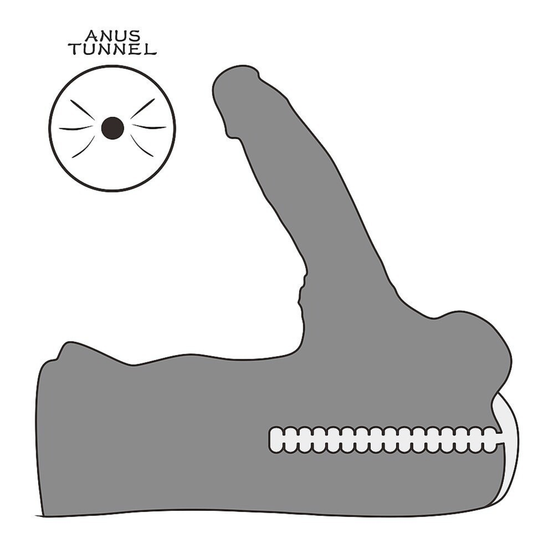 product depiction of anal tunnel from Male Torso Masturbator with Rideable Cock and Textured Ass Streetgirls 