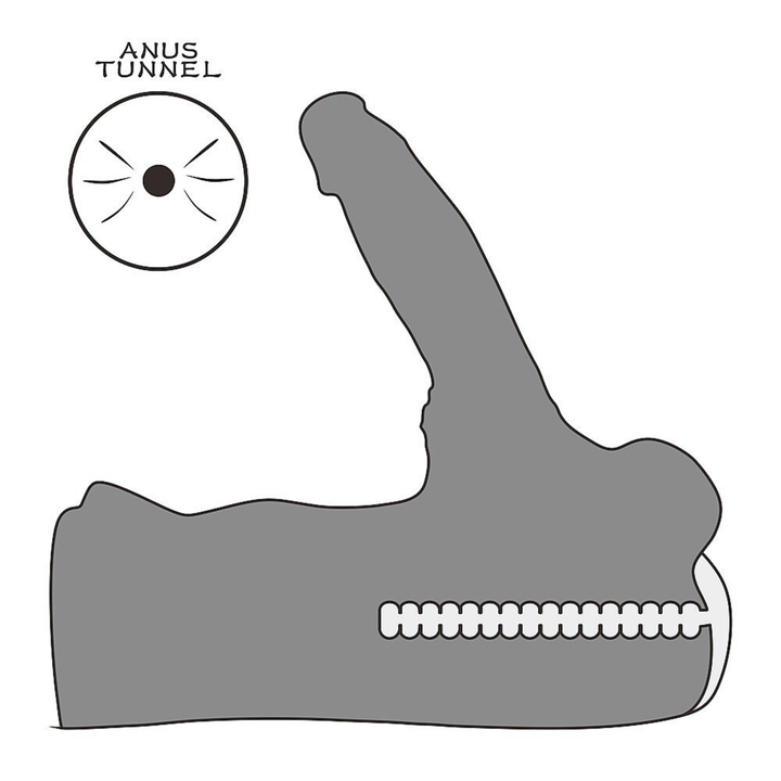product depiction of anal tunnel from Male Torso Masturbator with Rideable Cock and Textured Ass Streetgirls 