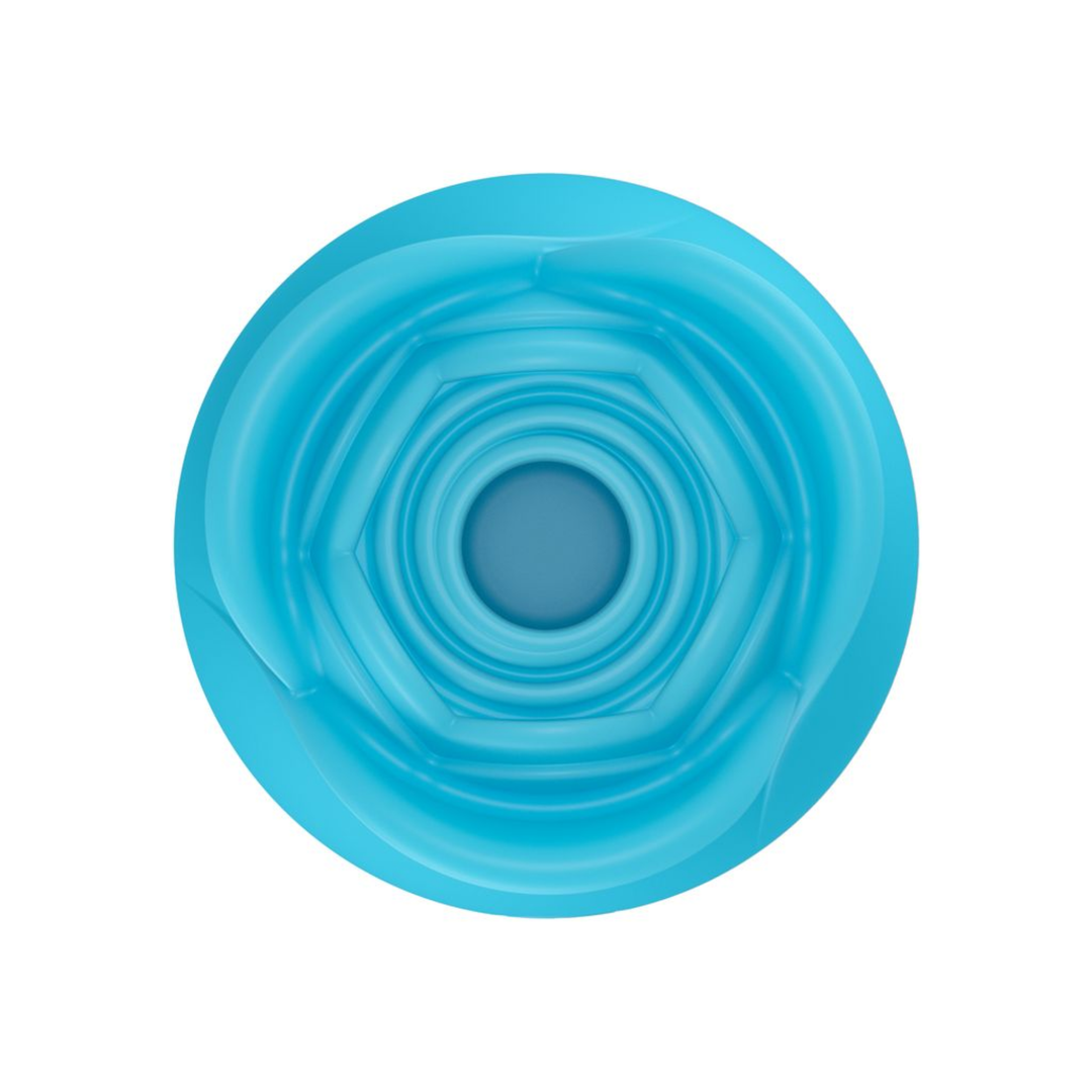 Euphoria Rose Sex Toy Air Pulse Stimulator in blue top view