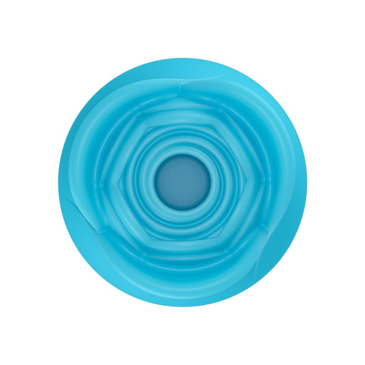 Euphoria Rose Sex Toy Air Pulse Stimulator in blue top view