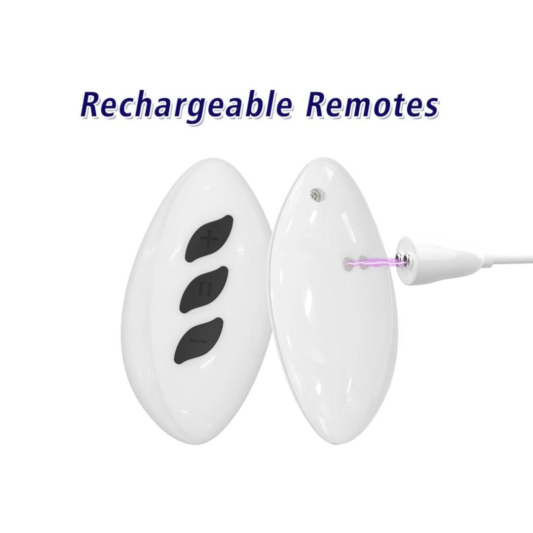 The Symphony of Lust wireless remote