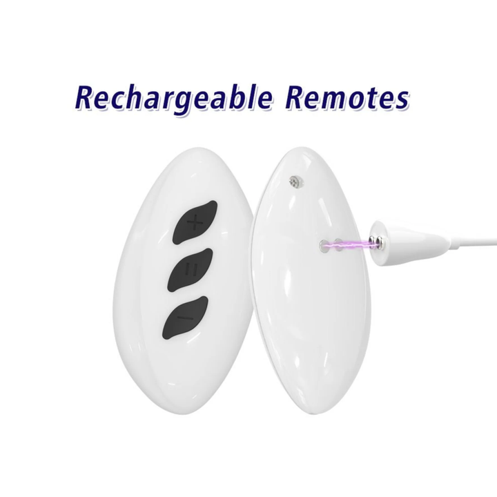The Symphony of Lust wireless remote