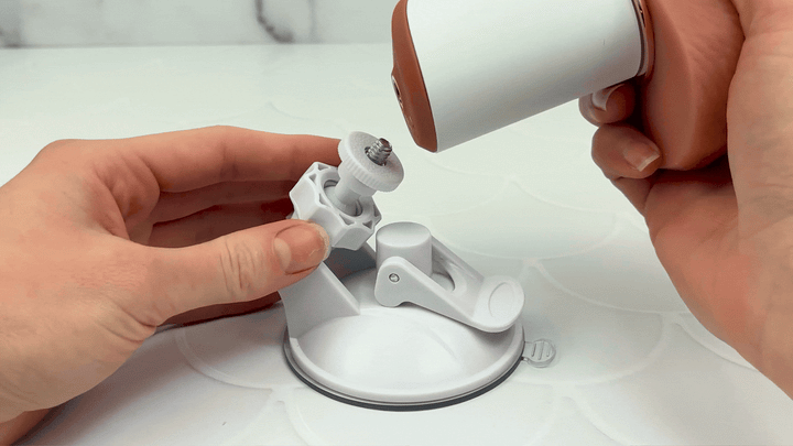 GIF of hands-free vibrating thrusting dildo being mounted on suction cup stand 