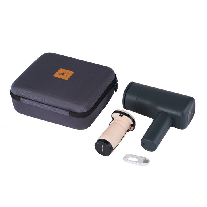 carry case, charger, masturbator sleeve, and motor
