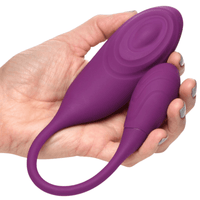 Image of the clit stimulator and vibrating egg being held in hand.