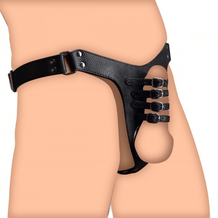 Image of the chastity harness being worn.