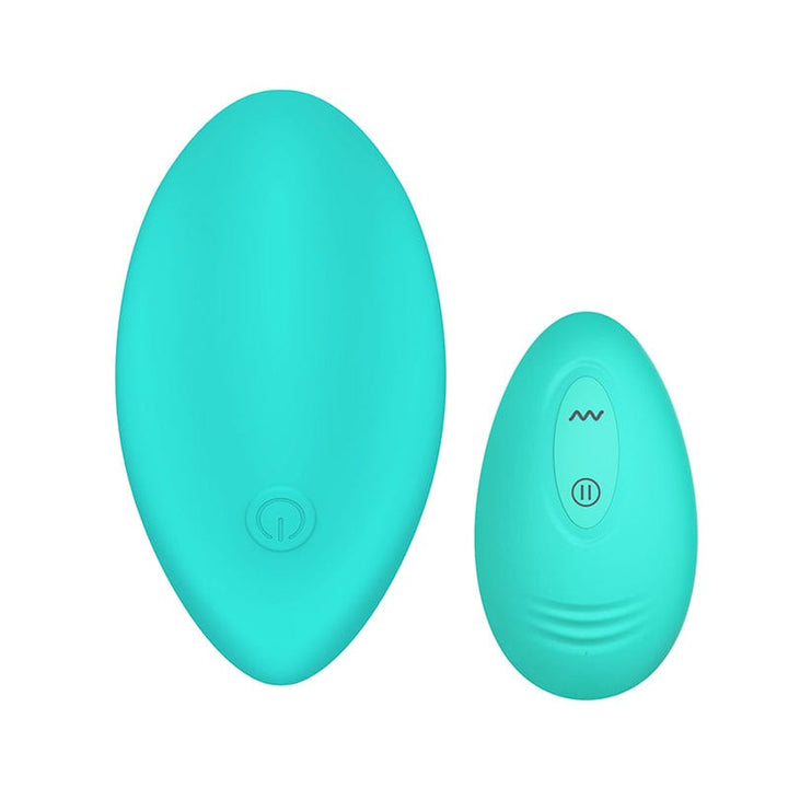 Panty vibrator with remote.