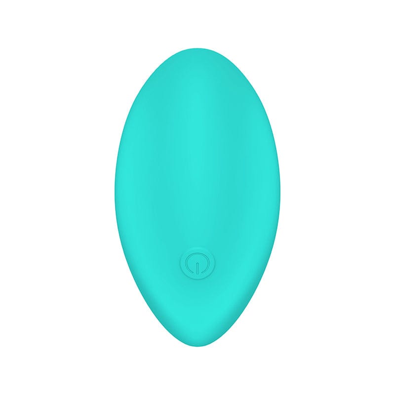 Panty vibrator.