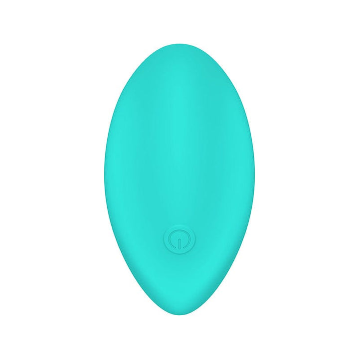 Panty vibrator.