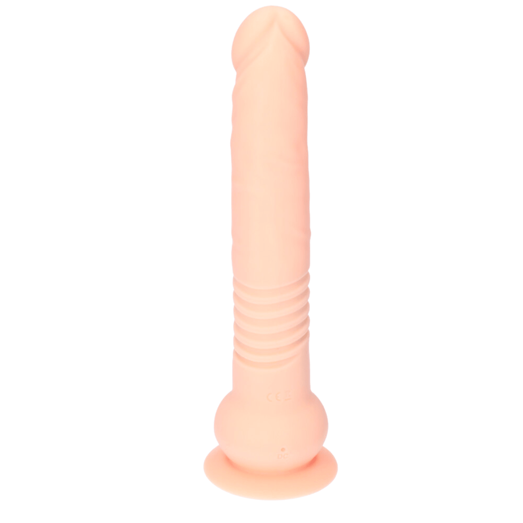 Back angle of recharegable thrusting dildo showing realistic penis tip and veins