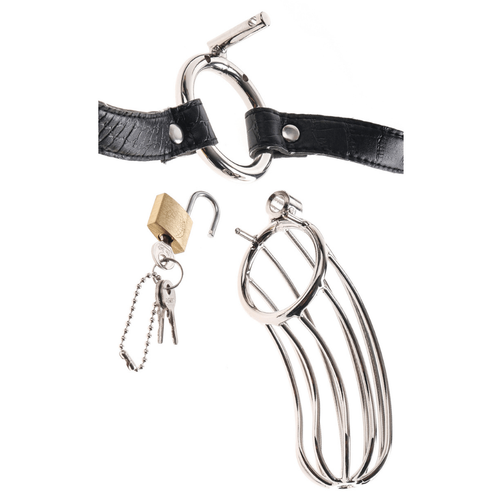 Image of the cock cage, detached from the belt, and the lock and key.