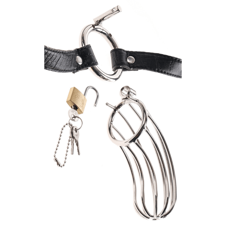 Image of the cock cage, detached from the belt, and the lock and key.