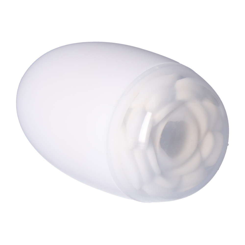 Picture of the rose masturbator with the case and lid, layind down.