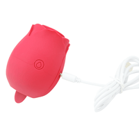 Image of the toy being charged by the magnetic charging cable (included).