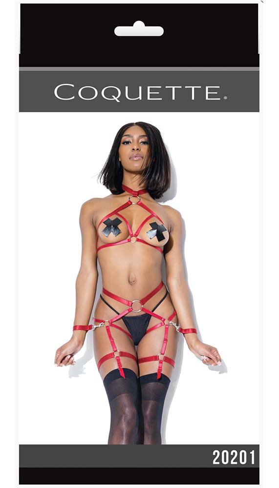 Harness Top & Crotchless Panty Set - Lingerie