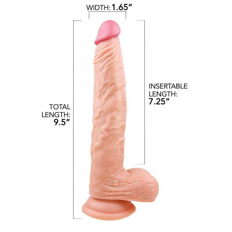 Infographic Showing Length and Width of Dildo