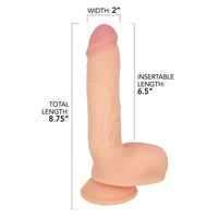 Infographic Showing Length and Width of Dildo