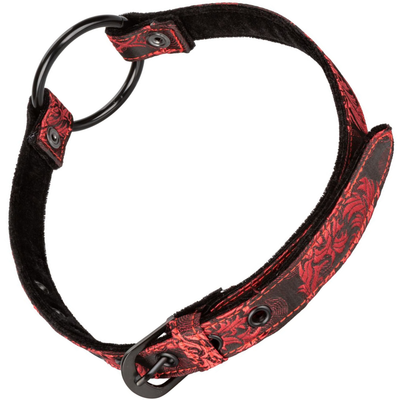 Over-head image of the ball gag. This gag will leave your submissive unable to speak as you tease them all night long! Perfect for both beginners and experienced BDSM users! 