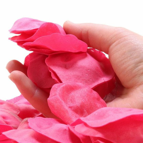 Image of hand holding the petals.
