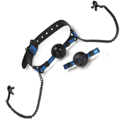 Image of the blue ball gag and nipple clamp set.